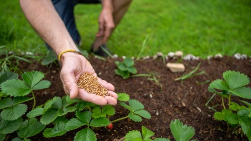 ��� ��������� ������ �������� � ������� ���������: ������� ������ ������� ���������