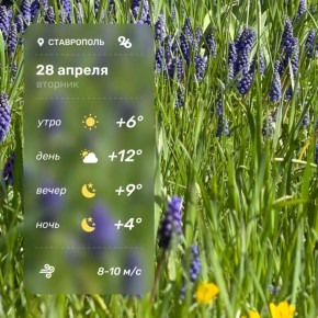 ������ � ���������� 28 ������