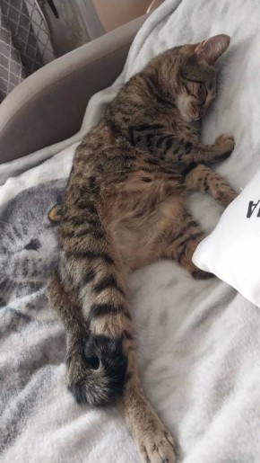 ����� ������ ����, ���� �� ��������