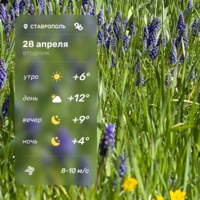 ������ � ���������� 28 ������