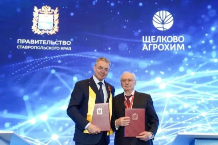 �������� ����������: ����������� ������ ���� ������ ����������� ��������������� ������