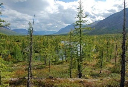 ��������� ���: ���������� ��������� �������� �� ���� �����