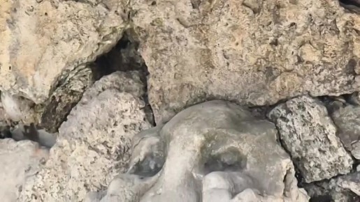 � ���������� ������������ ������ � ��������� ����� ����������