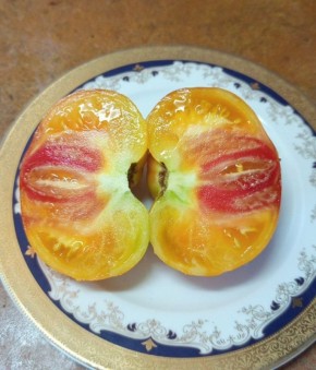 ����� ��������� �����: �������� �� ����� �������