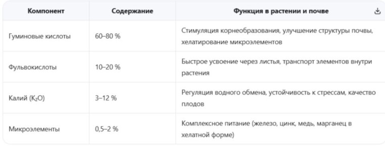 ����� �����: ��� ������������ ��� �������� �������� � ������