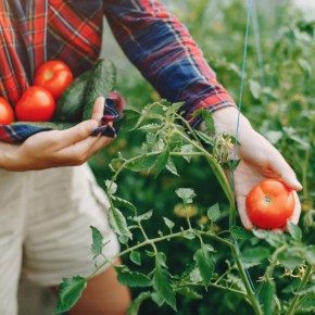 ��� ���������� ���������� ������: ������� ������ �� ������ ���