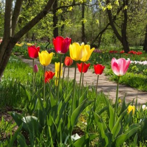 ������ ������ ��� ���������: ���� �������� � ����� ��������