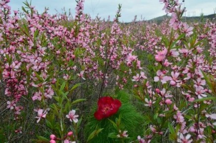 ��������� ����������. ������� �������