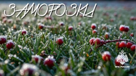 ��������. ��������� � ������� � �� ����������� ����� -1�...-3�� ��������� ������� � �������������� ���� ����� � ����� 1, 2 � 3 ��� 2026 �. � ���������� ����� �������� ����������� � ��������� ������ ������ �����������...