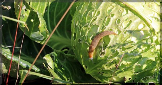 ����������� ������ ������ ������� �� �������: �������� ������ ��� ���������