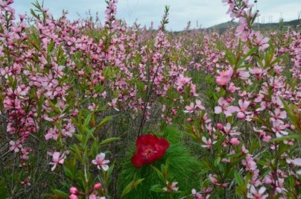 ��������� ����������. ������� ������� ��������� �� ��� � ����