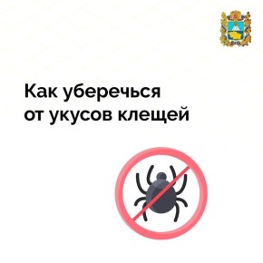 �������� �������� � �������� ����������� �������� ����� �� �������