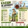 Ставрополье — край потрясающей природы, но даже здесь есть маленькие «соседи»