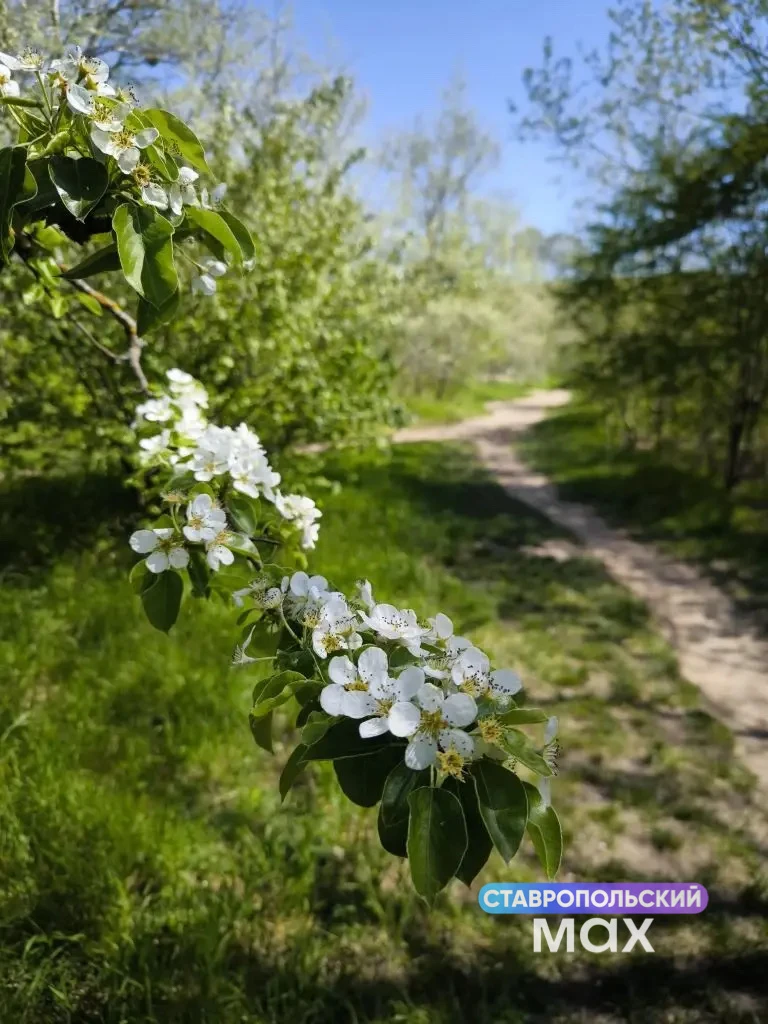 Весна в урочище родника Корыта