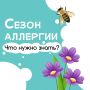 Весна — это…. Цветы, жужжание пчёл, а ещё, к сожалению, сезон аллергии