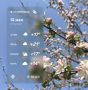 ������ � ���������� 12 ���
