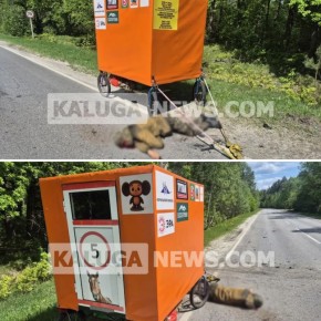 ВСУ целенаправленно атаковали дроном путешественника из Ставрополя, который совершал пеший переход в Южную Америку