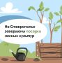 � �������������� ���� �������� 34 �� ����� �����