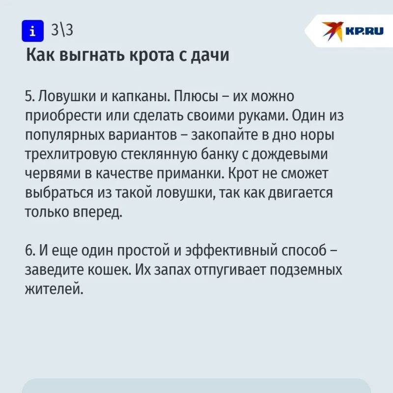 О наболевшем для дачников: рассказываем, как избавиться от крота на участке О наболевшем для дачников: рассказываем, как избавиться от крота на участке