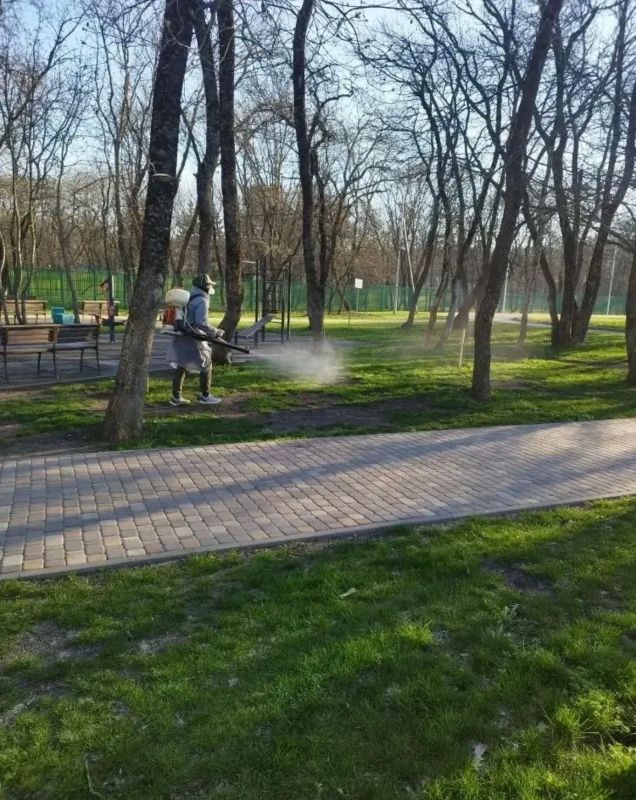 Почти 700 тысяч кв.м. парков и газонов Ставрополя обработали от клещей