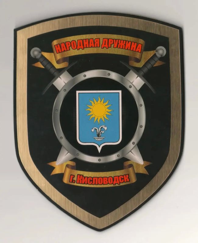 Что такое Добровольная народная дружина? Кто такие народные дружинники и чем они занимаются?