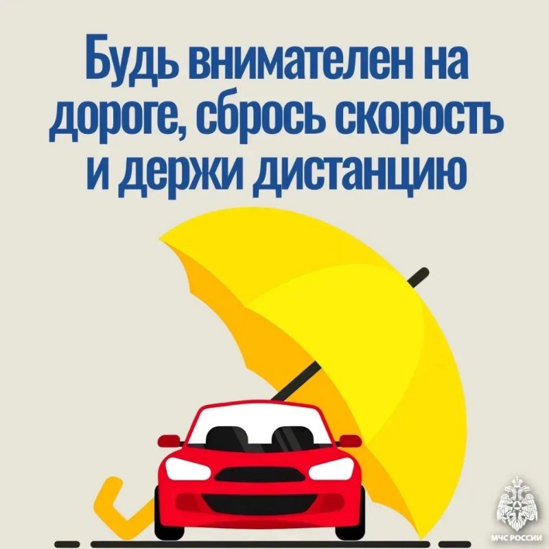 Не забудь взять с собой зонт Не забудь взять с собой зонт