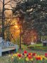 Железноводск. Артём Мелетов (