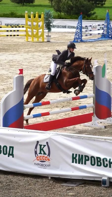 Спортсмены из Ставрополя завоевали 4 медали на соревнованиях по конкуру