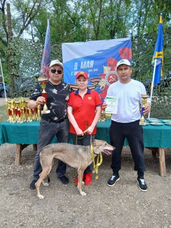 Выбрали чемпионов охотничьих пород Выбрали чемпионов охотничьих пород