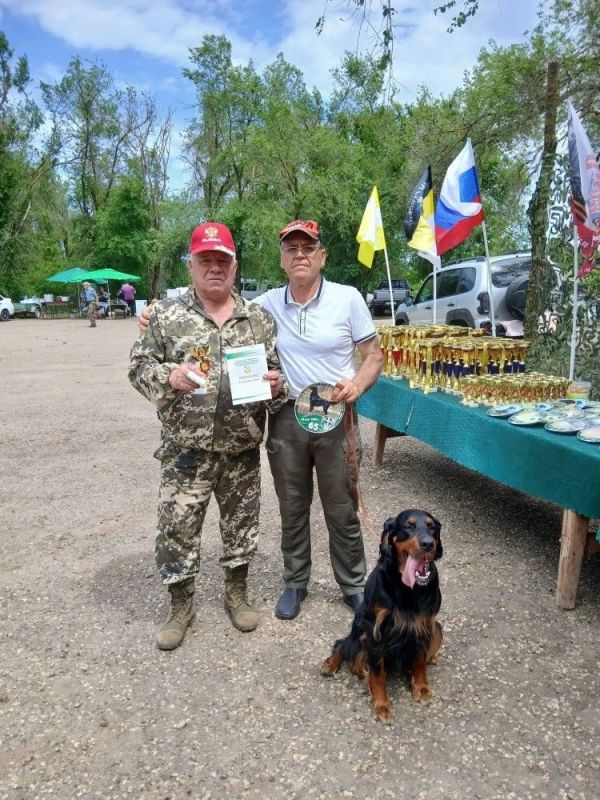 Выбрали чемпионов охотничьих пород Выбрали чемпионов охотничьих пород