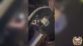� ���������� �������������� ���������� �� ���������� �������, ������� �� ���� � ��������� ��������� � ��� ������������� �������������