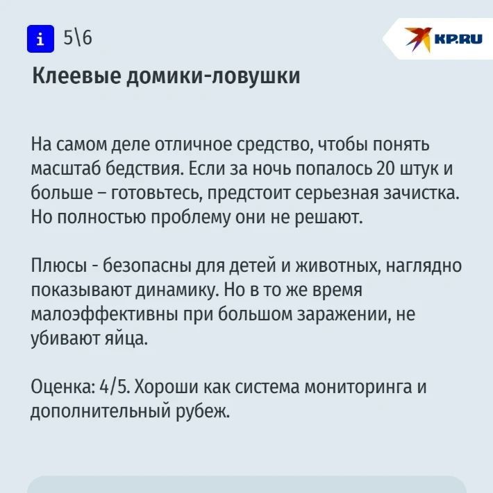 Если вы хоть раз сталкивались с тараканами в своей квартире, то наверняка поймете боль нашего корреспондента Если вы хоть раз сталкивались с тараканами в своей квартире, то наверняка поймете боль нашего корреспондента