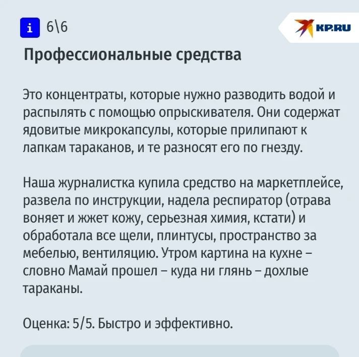 Если вы хоть раз сталкивались с тараканами в своей квартире, то наверняка поймете боль нашего корреспондента Если вы хоть раз сталкивались с тараканами в своей квартире, то наверняка поймете боль нашего корреспондента