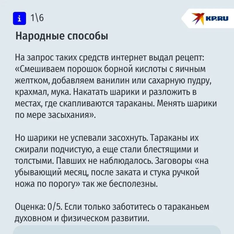 Если вы хоть раз сталкивались с тараканами в своей квартире, то наверняка поймете боль нашего корреспондента
