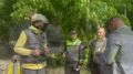 Сотрудники Госавтоинспекции города Ставрополя провели профилактическое мероприятие «Заметный пешеход»