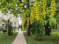 О Ставрополе и его жителях расскажут на федеральном канале
