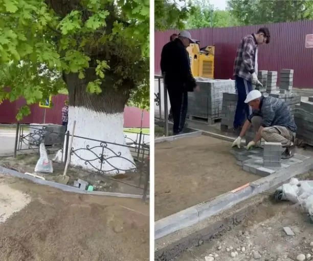 Памятник живой природы. В станице Старопавловской Кировского округа начали благоустраивать территорию возле 200-летнего дуба Памятник живой природы. В станице Старопавловской Кировского округа начали благоустраивать территорию возле 200-летнего дуба