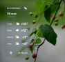 Доброе утро! Сегодня похолодает, день будет дождливым и пасмурным
