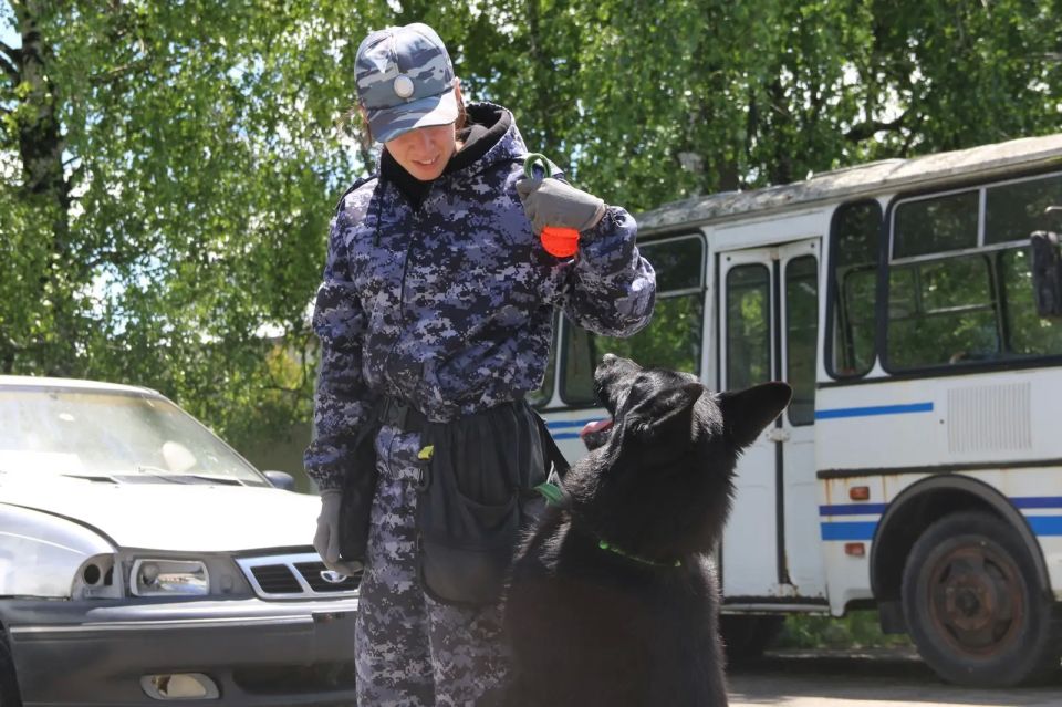 Ставропольские полицейские-кинологи познакомили школьников со своей работой Ставропольские полицейские-кинологи познакомили школьников со своей работой