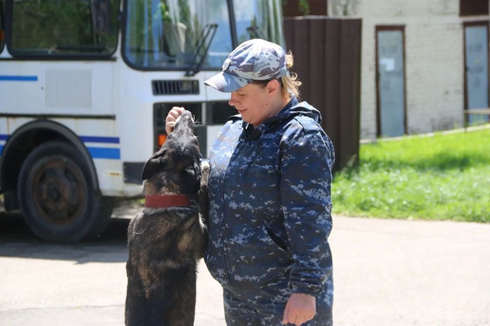 Ставропольские полицейские-кинологи познакомили школьников со своей работой Ставропольские полицейские-кинологи познакомили школьников со своей работой