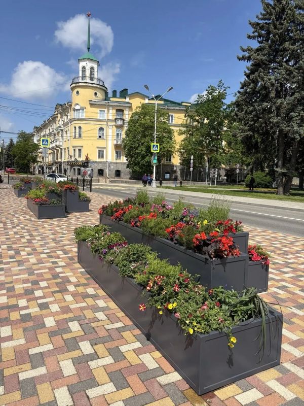 За лето в Ставрополе высадят почти 300 тыс За лето в Ставрополе высадят почти 300 тыс