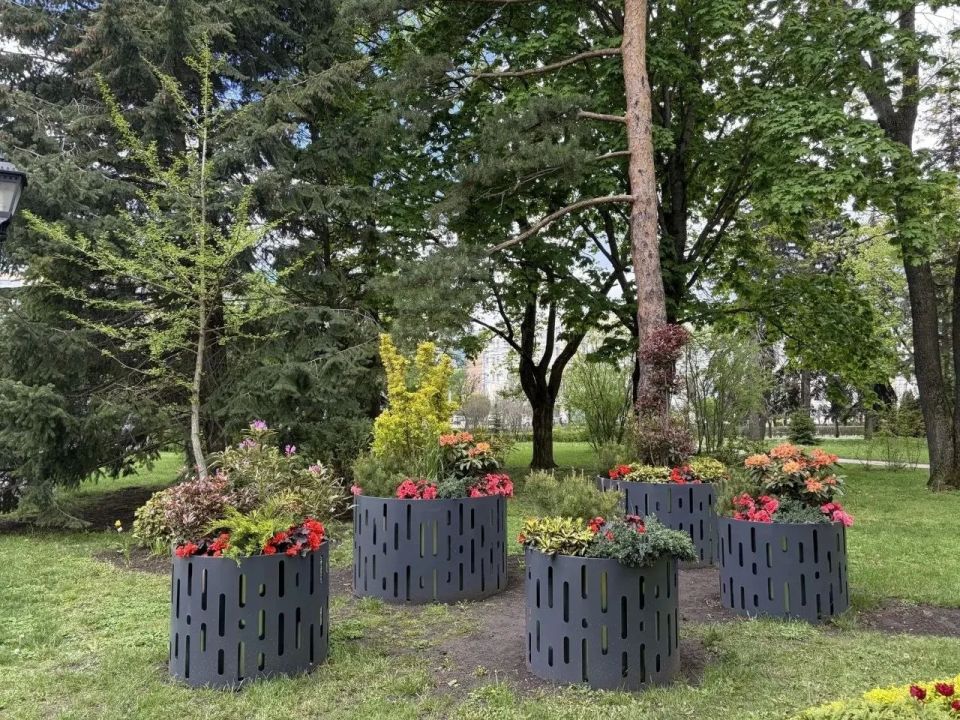 Ставрополь украсили вазонами с цветочными композициями