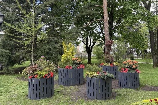 Улицы Ставрополя этим летом украсят 300 тысяч цветов и новые арт-объекты