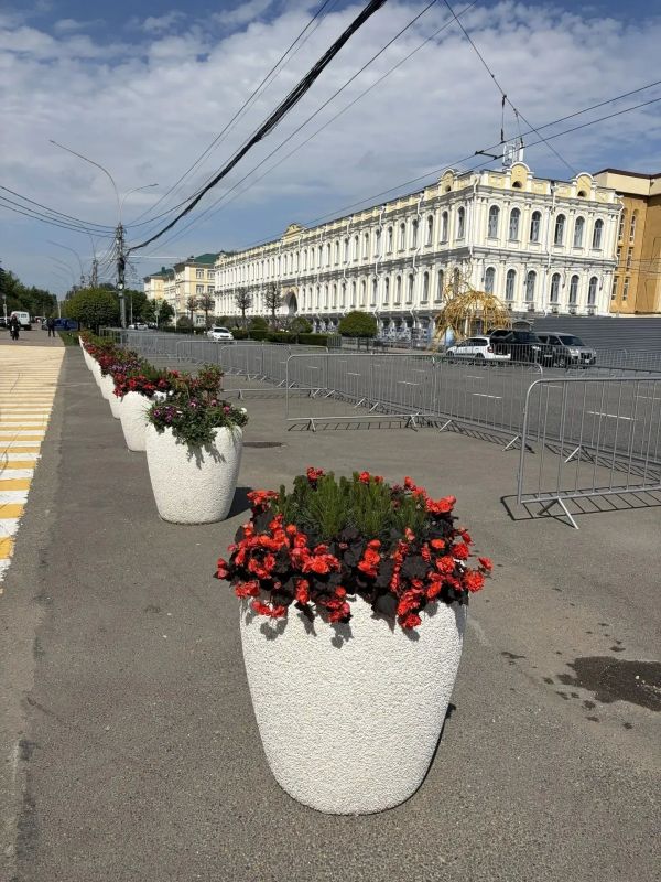 За лето в Ставрополе высадят почти 300 тыс