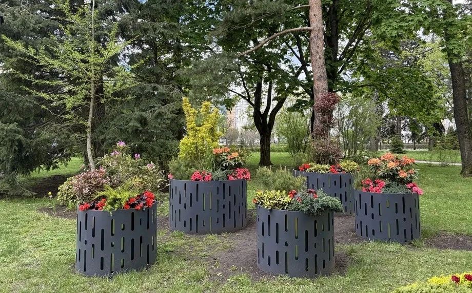 В Ставрополе на клумбах этим летом высадят около 300 тысяч цветов