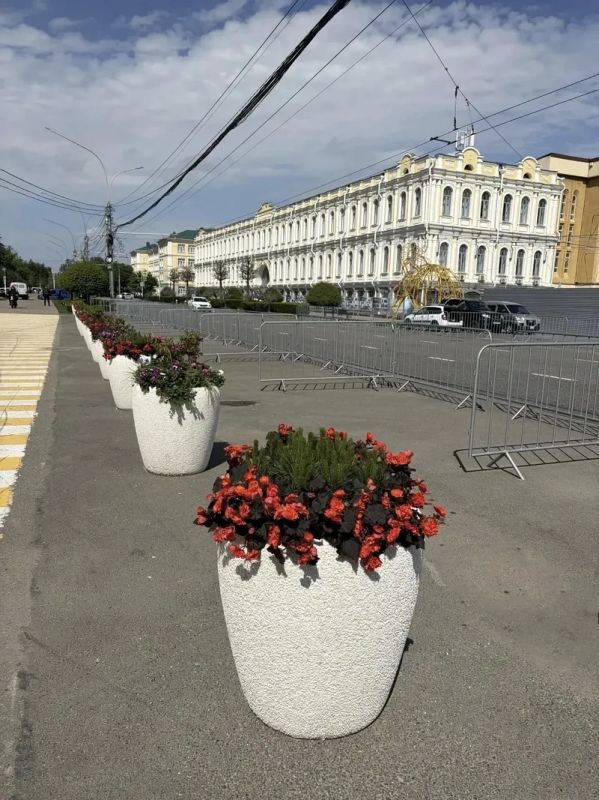 В Ставрополе на клумбах этим летом высадят около 300 тысяч цветов В Ставрополе на клумбах этим летом высадят около 300 тысяч цветов