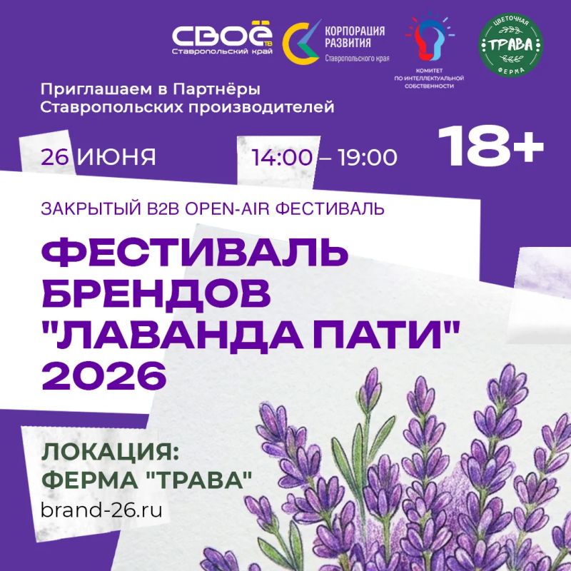Фестиваль локальных брендов «Лаванда Пати» пройдёт на Ставрополье