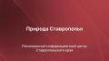 Пресс-конференция в региональном информационном центре Ставропольского края
