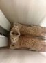 ������ ����� �������� �������� � ����������