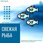 С сегодняшнего дня стартует продажа свежей рыбы в вашем регионе